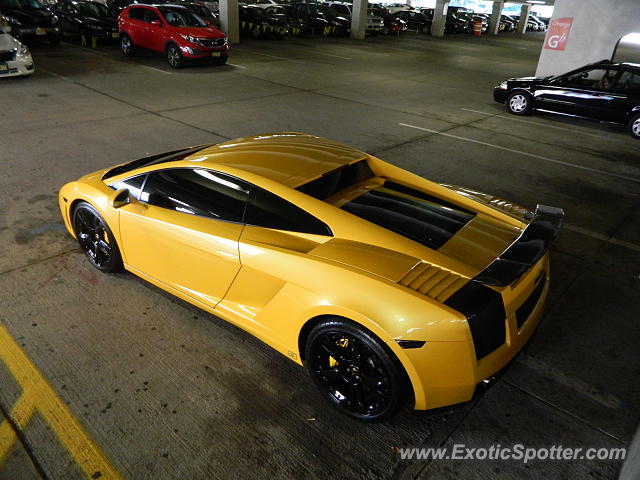 Lamborghini Gallardo spotted in Short Hills, New Jersey