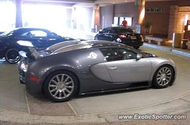 Bugatti Veyron spotted in Scottsdale, Arizona