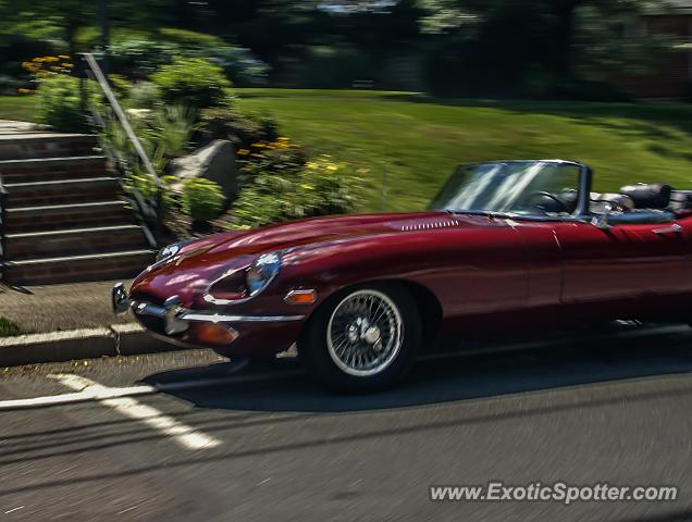 Jaguar E-Type spotted in Brookline, Massachusetts