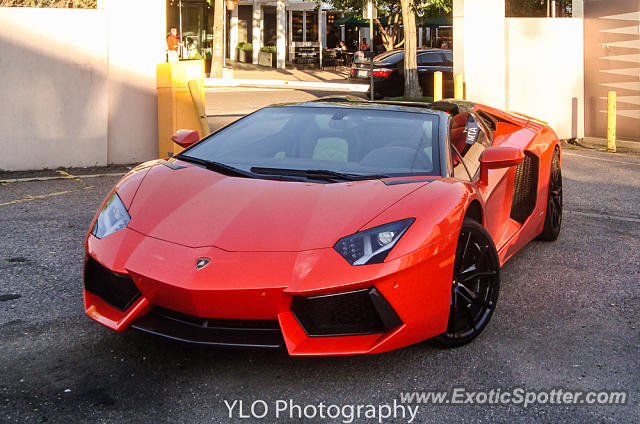 Lamborghini Aventador spotted in Cherry Creek, Colorado