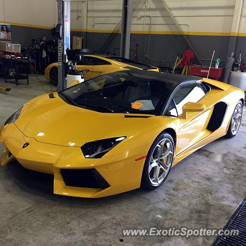 Lamborghini Aventador spotted in Markham, Canada