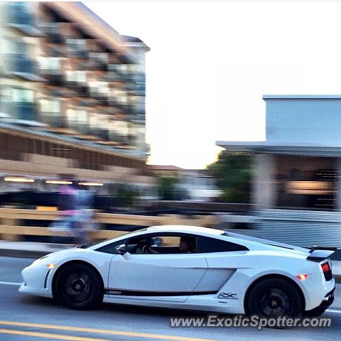 Lamborghini Gallardo spotted in Fort lauderdale, Florida