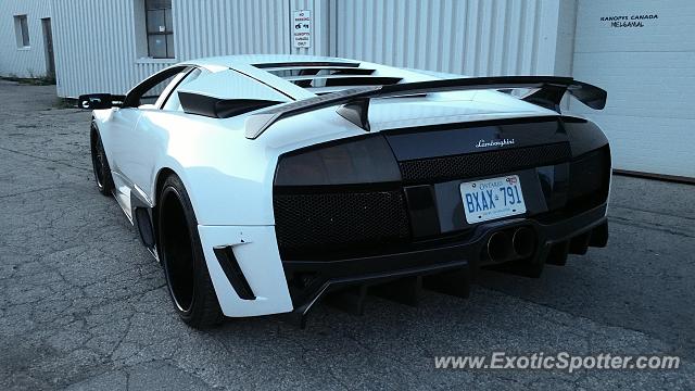 Lamborghini Murcielago spotted in Oakville, Canada