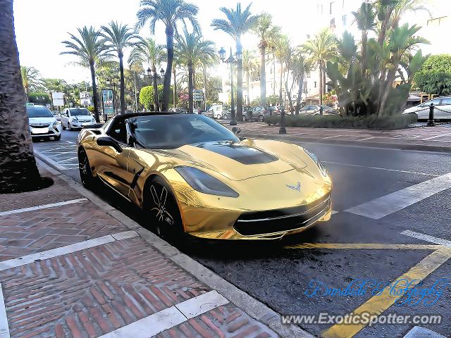 Chevrolet Corvette Z06 spotted in Puerto Banus, Spain