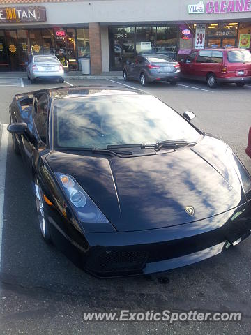 Lamborghini Gallardo spotted in Eastgate, Washington