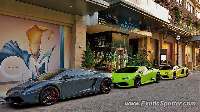 Lamborghini Gallardo spotted in Atlanta, Georgia