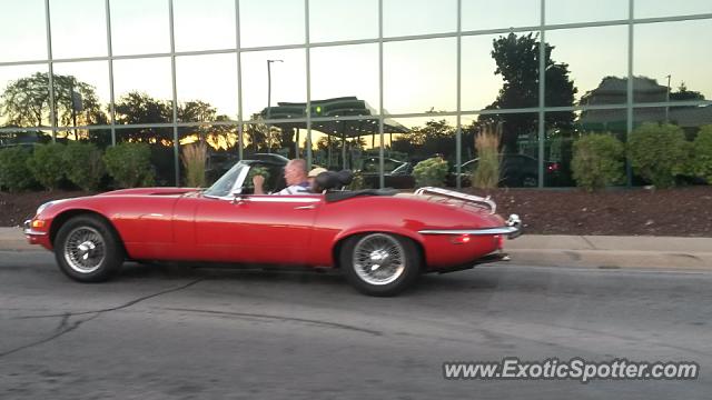 Jaguar E-Type spotted in Downers Grove, Illinois