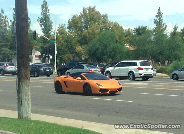 Lamborghini Gallardo spotted in Scottsdale, Arizona