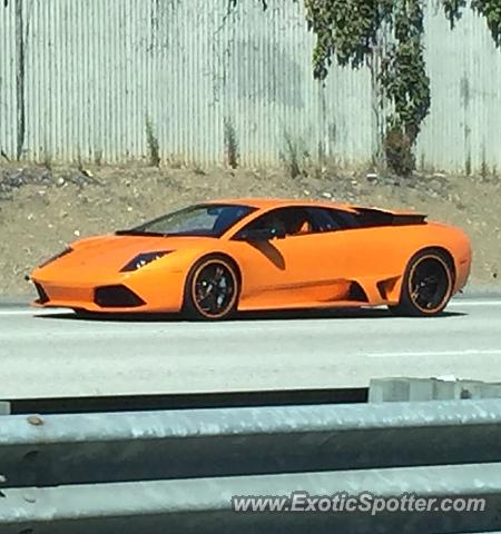 Lamborghini Murcielago spotted in Saratoga, California