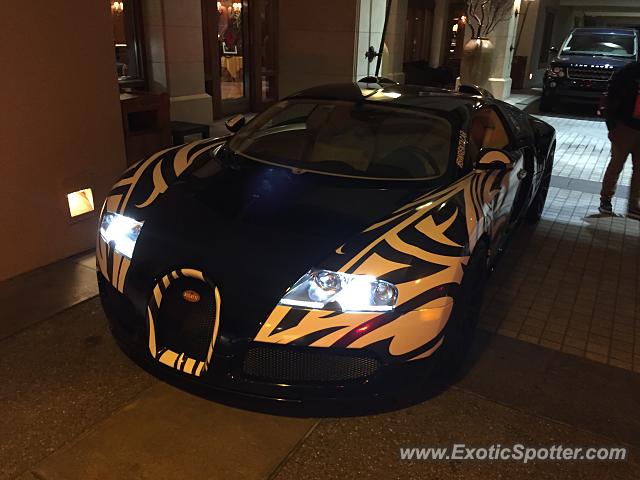 Bugatti Veyron spotted in Monterey, California