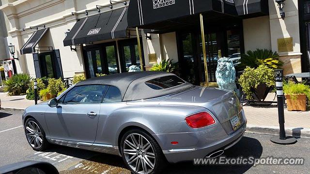 Bentley Continental spotted in Scottsdale, Arizona