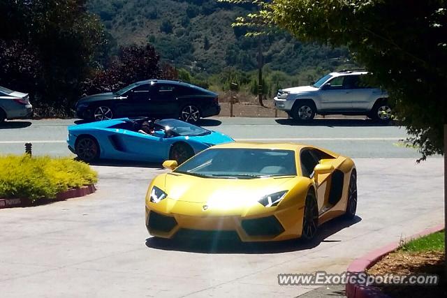Lamborghini Aventador spotted in Pebble Beach, California
