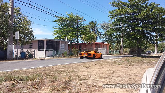 Lamborghini Aventador spotted in Hatillo, Puerto Rico