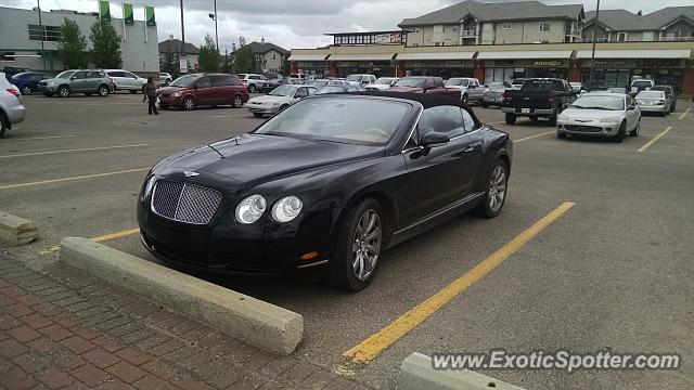 Bentley Continental spotted in Edmonton, Canada