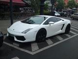 Lamborghini Gallardo