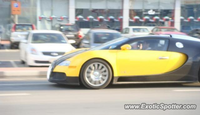 Bugatti Veyron spotted in ABU DHABI, United Arab Emirates