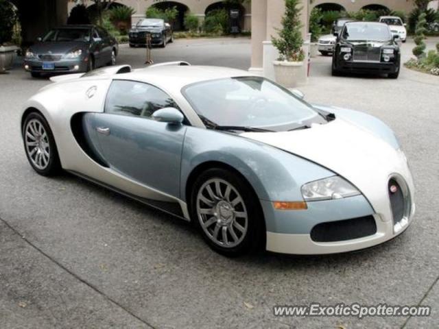 Bugatti Veyron spotted in Dubai, United Arab Emirates