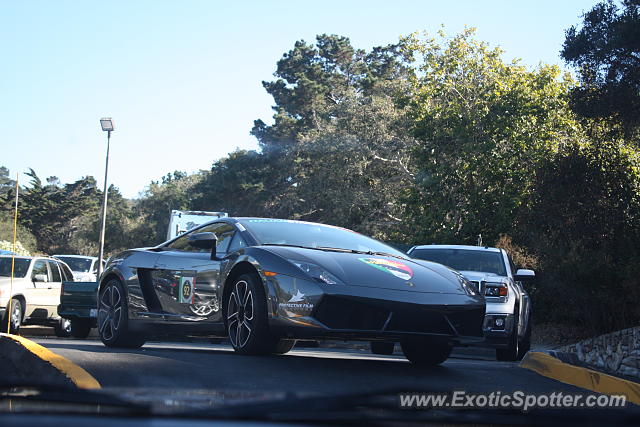 Lamborghini Gallardo spotted in Monterey, California