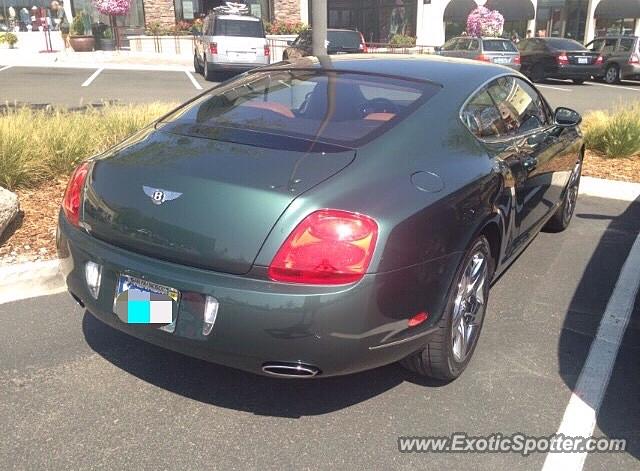 Bentley Continental spotted in Reno, Nevada