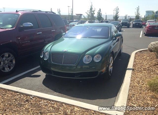 Bentley Continental spotted in Reno, Nevada