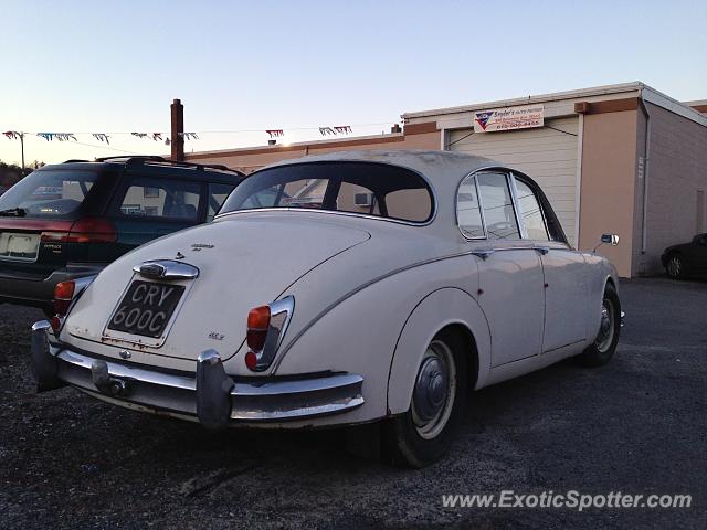 Jaguar E-Type spotted in Whitehall, Pennsylvania