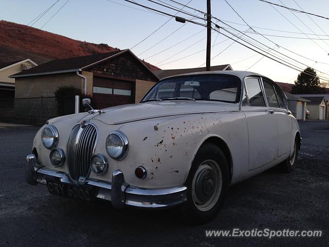 Jaguar E-Type spotted in Whitehall, Pennsylvania