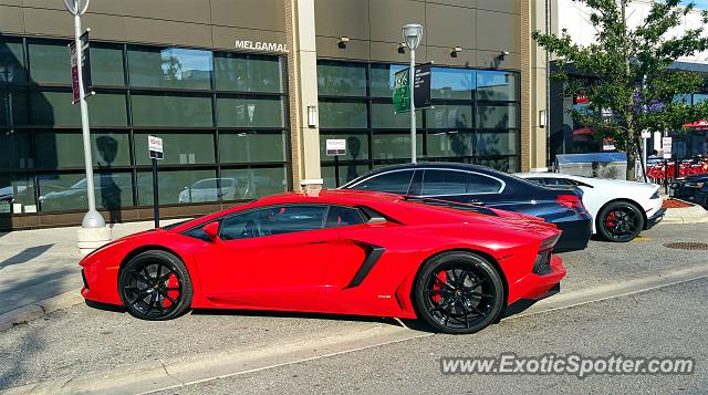 Lamborghini Aventador spotted in Toronto, Canada