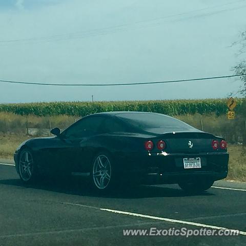 Ferrari 550 spotted in Davis, California