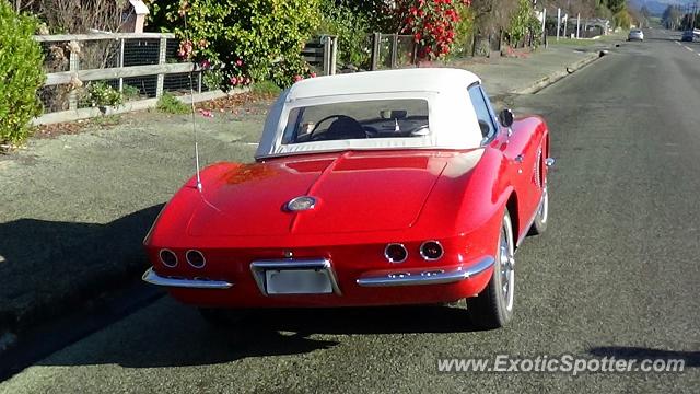 Other Other spotted in Waimate, New Zealand