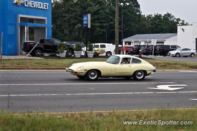 Jaguar E-Type spotted in Leesburg, Virginia