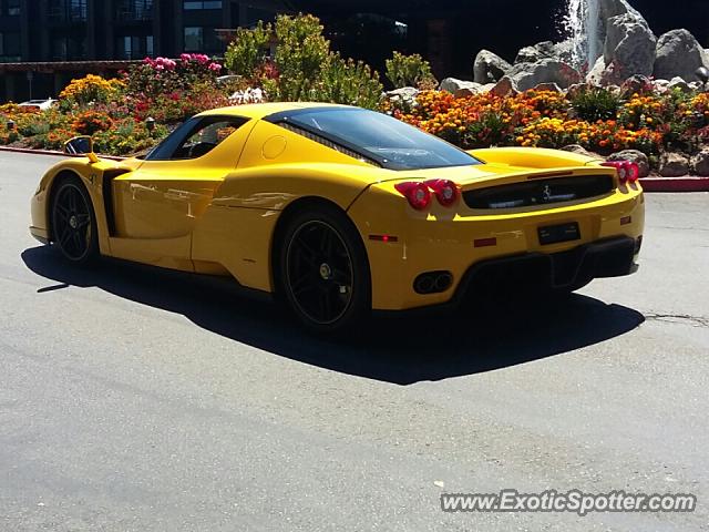 Ferrari Enzo spotted in Monterey, California