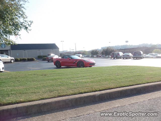 Other Other spotted in Chattanooga, Tennessee