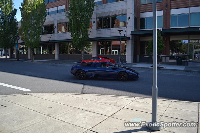 Lamborghini Murcielago spotted in Bellevue, Washington