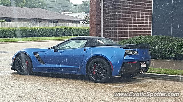 Chevrolet Corvette Z06 spotted in Panama City, Florida