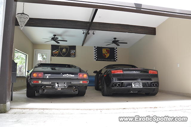 Lamborghini Jalpa spotted in Houston, Texas