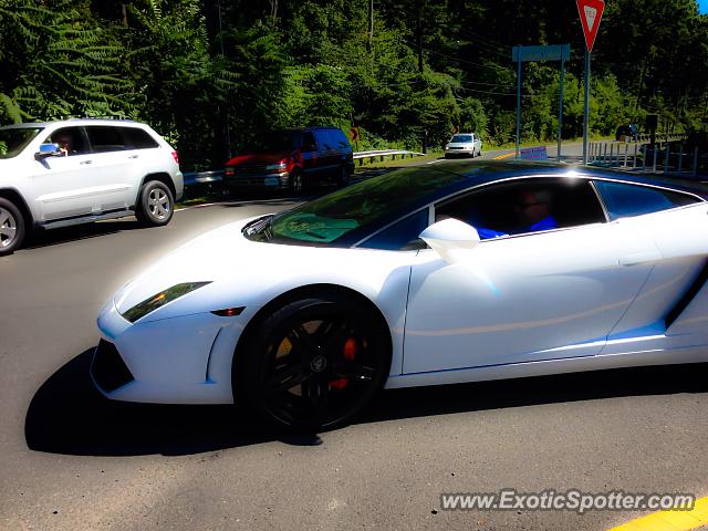Lamborghini Gallardo spotted in Glen Echo, Maryland