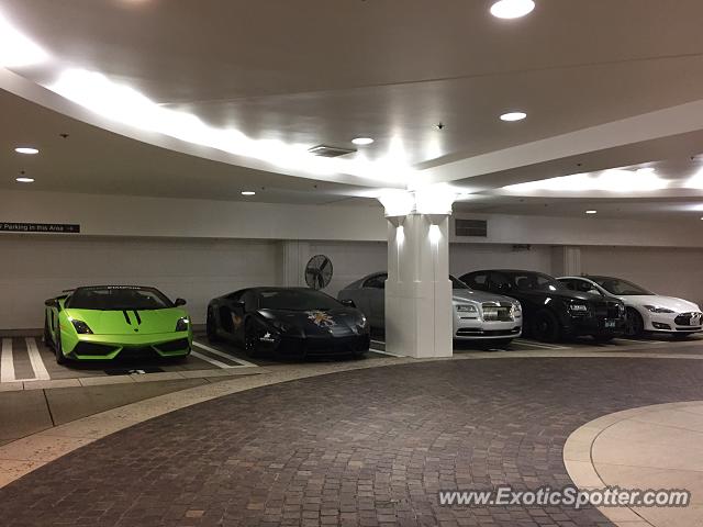 Lamborghini Gallardo spotted in Beverly Hills, California