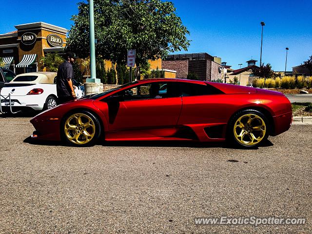 Lamborghini Murcielago spotted in Lone Tree, Colorado
