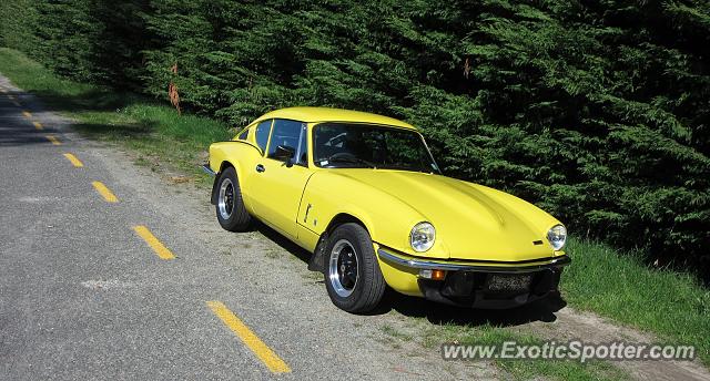 Other Other spotted in Tasman, New Zealand