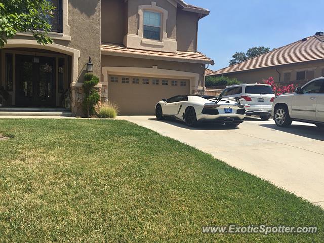 Lamborghini Aventador spotted in Sacramento, California