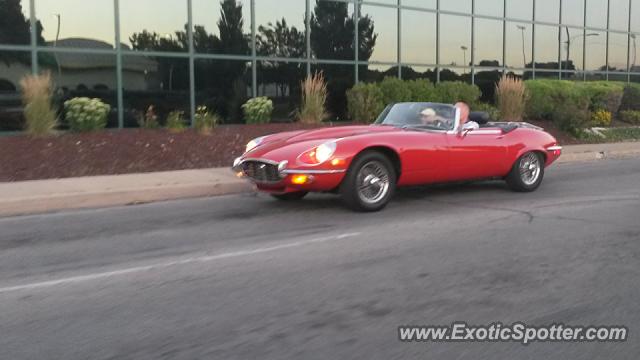 Jaguar E-Type spotted in Downers Grove, Illinois