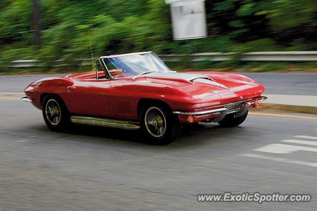 Other Vintage spotted in Arlington, Virginia