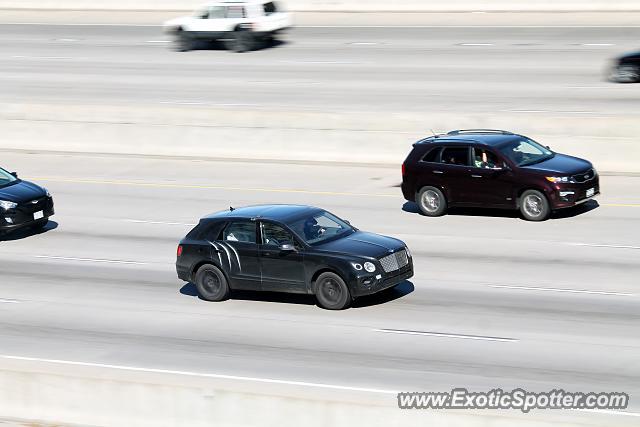 Bentley Bentayga spotted in Denver, Colorado