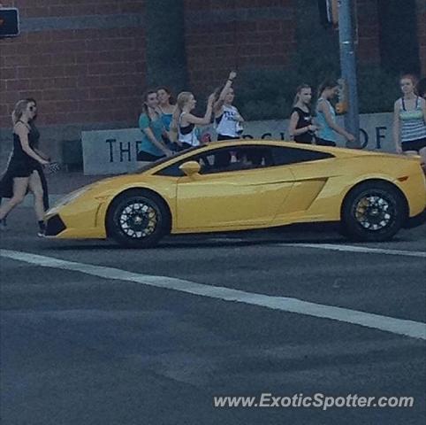 Lamborghini Gallardo spotted in Tucson, Arizona