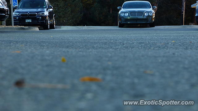 Bentley Continental spotted in DTC, Colorado