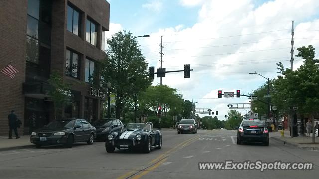 Shelby Cobra spotted in Downers Grove, Illinois