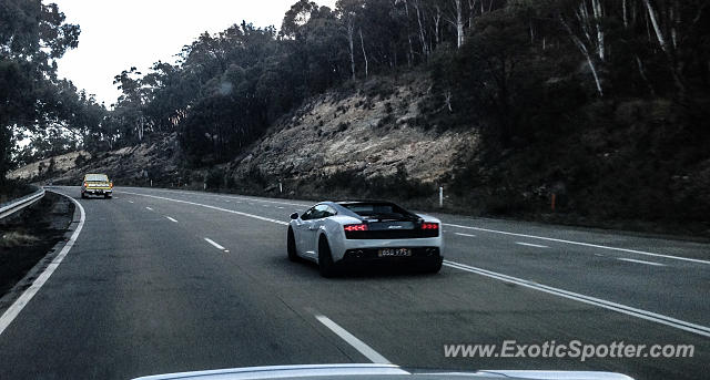 Lamborghini Gallardo spotted in Sydney, Australia