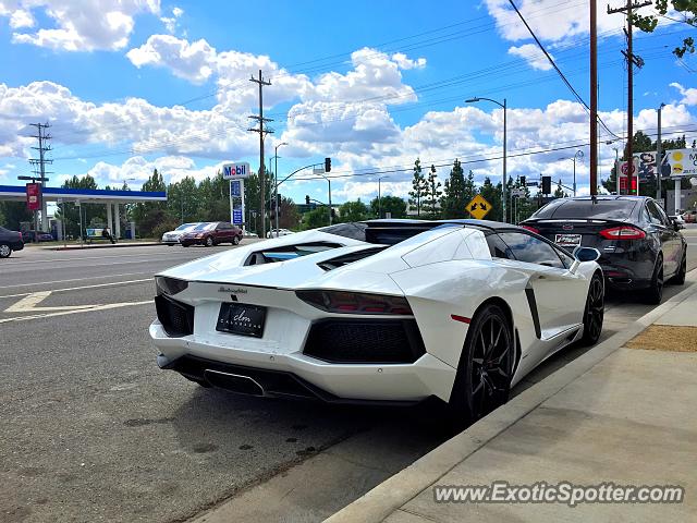 Lamborghini Aventador spotted in Northridge, California