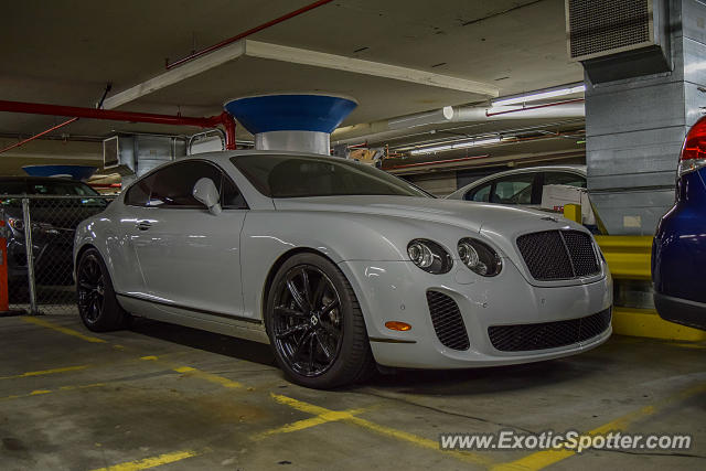 Bentley Continental spotted in Boston, Massachusetts