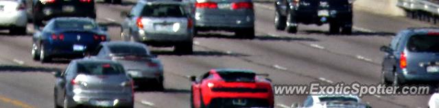 Lamborghini Gallardo spotted in DTC, Colorado